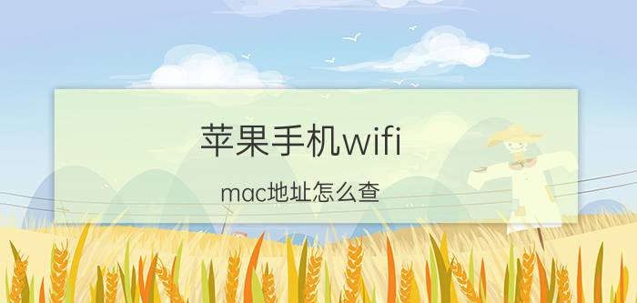 苹果手机wifi mac地址怎么查 oppo手机wlan mac地址是什么？